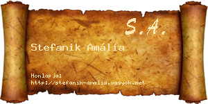 Stefanik Amália névjegykártya