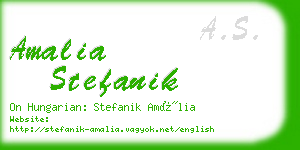 amalia stefanik business card